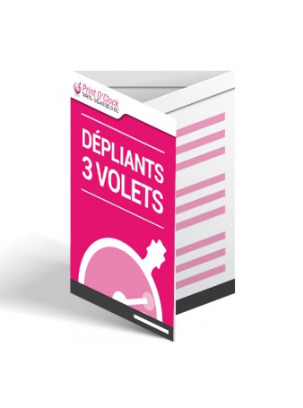 Dépliants A4 ouvert 2 plis roulés pour application mobile CitizenApps 30cm x 42cm